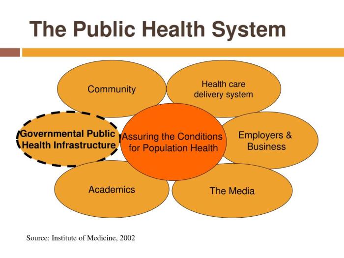 Health public system cdc services essential diagram icon entities community law agency many other
